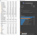 Cinebench Schluss - 100Prozent.PNG