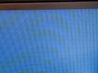 20210919_143140 (1).jpg