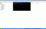 2.GIF