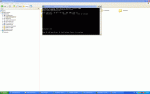 3.GIF