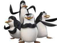 Die_pinguine_aus_madagascar.jpg
