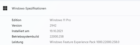 Windows11Pro21H2.png