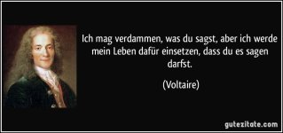 zitat-ich-mag-verdammen-was-du-sagst-aber-ich-werde-mein-leben-dafur-einsetzen-dass-du-es-sage...jpg