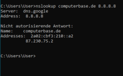 funktioniert_nslookup_computerbasede_8888.png