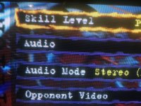 NTSC Detail.JPEG