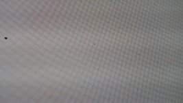 Staubeinschlüsse von S27D850 1.jpg