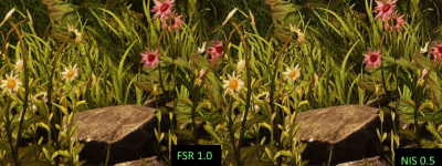 FSR10_NIS05.png