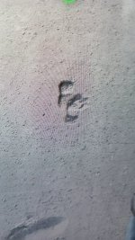 IMG_20211128_140353.jpg IMG_20211128_140353.jpg