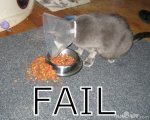 Fail__6_.jpg