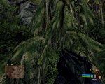 Crysis 2009-02-05 23-31-23-76.jpg