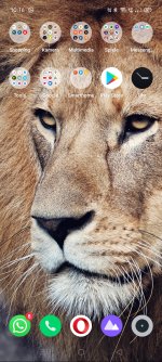 Screenshot_2022-01-12-10-16-39-23.jpg Screenshot_2022-01-12-10-16-39-23.jpg