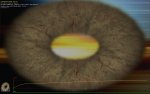 furmark_000002.jpg