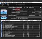 Samsung 870 EVO SMART-Status 01 2022-02-01.png