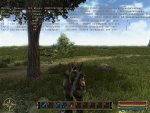 Gothic3 2009-03-05 17-11-03-20.JPG