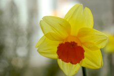 IMG_3620-CR2_DxO_PRIME.jpg
