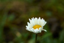 IMG_3631-CR2_DxO_PRIME.jpg