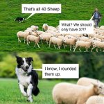 Round up sheep.jpg