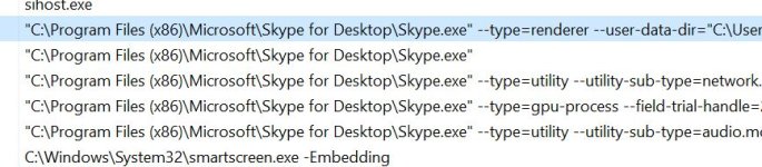 skype3.JPG