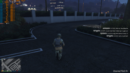 Grand Theft Auto V_2022.07.25-15.45_1.png