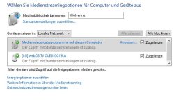 Medienstreamingoptionen.jpg