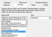 Netzwerkadapter_Erweitert_4.jpg