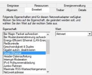 Netzwerkadapter_Erweitert_5.jpg