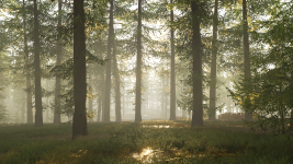 Forza Horizon 4 04.05.2022 06_46_19.png