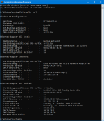 ipconfig all mit Realtek NIC.png