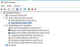 Gerätemanager.PNG