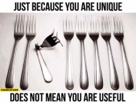 just-because-you-are-unique-does-not-mean-you-are-useful-forks.jpg