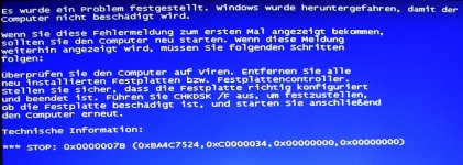 Sporadischer Blue Screen.jpg