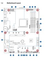 MB Layout.jpg