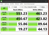 1000 GB Sandisk Plus.jpg