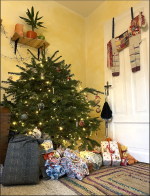 Screenshot 2023-01-15 at 20.26.33.png