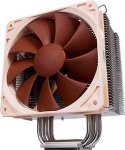 Noctua.jpg