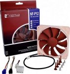 Noctua.jpg