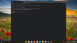 Chrome OS.png