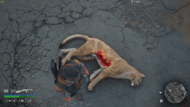 Days Gone Beispiel Picture.png