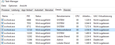 Diensthost_Netzwerkdienst_Details.png