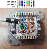 Netzwerkkabel_1M3OCBX.png