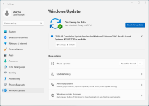KB5023778 US - 2023-03 Cumulative Update Preview for Windows 11.png
