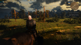 witcher3_2023_04_15_18_25_49_036.png