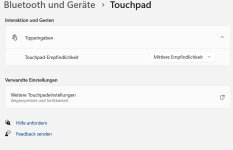 touchpad-einstellungen.jpg