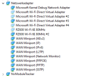 Netzwerkadapter.PNG
