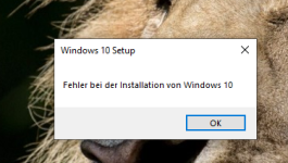 Fehler bei der Instalation von Windows.PNG