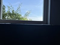 IMG_1870.jpeg