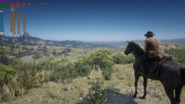 RDR2_-10920X + X299.jpg