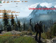 7600_Witcher 3 UC-UV.jpg