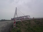 DSC00203.jpg