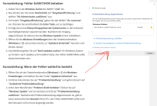 0x80070490 Fehler.png